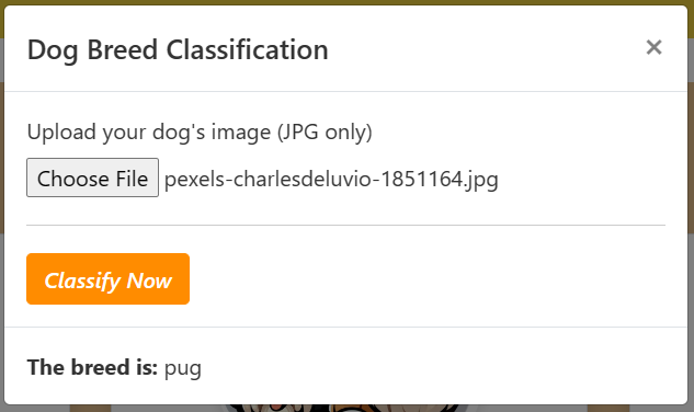 Classification results of Dog Breed